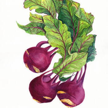Malerei mit dem Titel "Purple Kohlrabi" von Svitlana Yanyeva, Original-Kunstwerk, Aquarell
