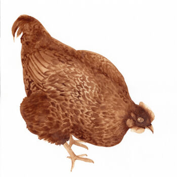 绘画 标题为“Red Chicken. Coffee…” 由Svitlana Yanyeva, 原创艺术品, 水彩