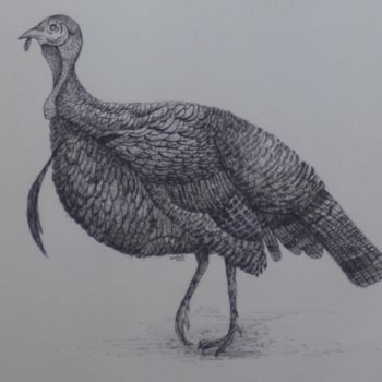 Drawing titled "Turkey 1 (pen and i…" by Syed Akheel, Original Artwork, Ink