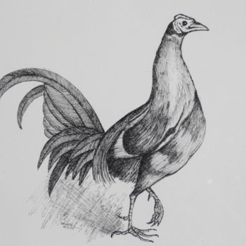 Drawing titled "Hen (pen and ink)" by Syed Akheel, Original Artwork, Ink