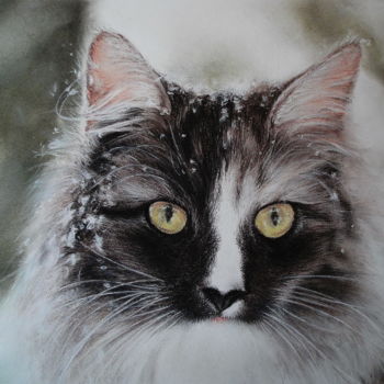 Painting titled "Chat Maine Coon" by Sylvie Geneste, Original Artwork, Pastel