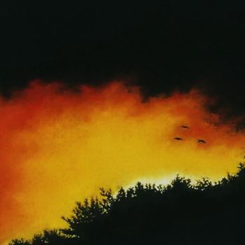 Peinture intitulée "Ciel de feu" par Sylvie Geneste, Œuvre d'art originale, Pastel