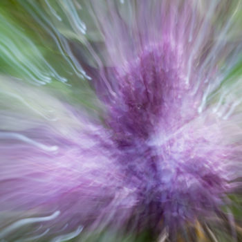 Photographie intitulée "Lilas dans le vent." par Sylphotoevenement, Œuvre d'art originale, Photographie numérique