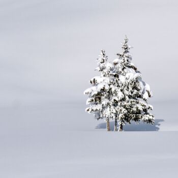 Fotografia intitolato "Seul dans la neige" da Sylvestre Bonnet, Opera d'arte originale, Fotografia digitale