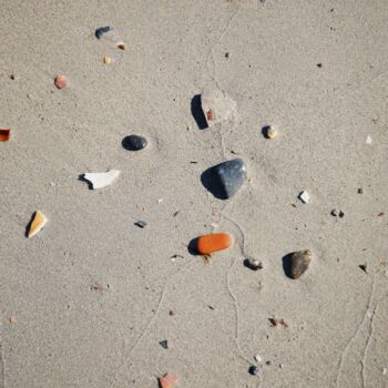 Photographie intitulée "Beach treasures" par Sylvia Haghjoo, Œuvre d'art originale, Photographie numérique
