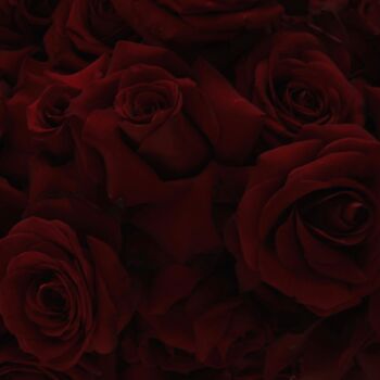 Photographie intitulée "Flamme Jumelle Rose" par Sylvia Haghjoo, Œuvre d'art originale, Photographie numérique