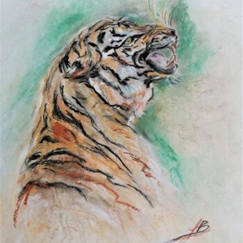 "LA RAGE DU TIGRE" başlıklı Resim Sylvie Bayle tarafından, Orijinal sanat, Karakalem