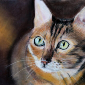 Peinture intitulée "Regard de chat" par Sylvie Blandin, Œuvre d'art originale, Pastel