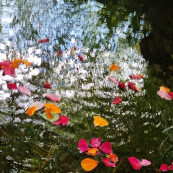 Fotografía titulada "jardin impressionni…" por Sylvie Chapuis, Obra de arte original, Fotografía digital