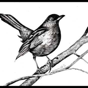 Drawing titled "Mon oiseau de pluie" by Sylvie Chauvin, Original Artwork, Pencil