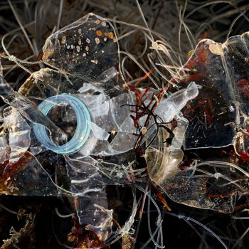 Arts numériques intitulée "Mélangées 0499-094…" par Sylvie Dessert (Syl), Œuvre d'art originale, Collages