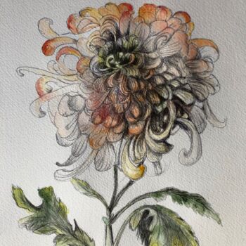 Peinture intitulée "le chrysanthème" par Sylvie Lamande, Œuvre d'art originale, Aquarelle