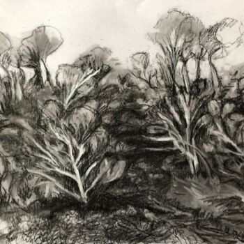 Drawing titled "Forêt" by Sylvie Lamande, Original Artwork, Graphite