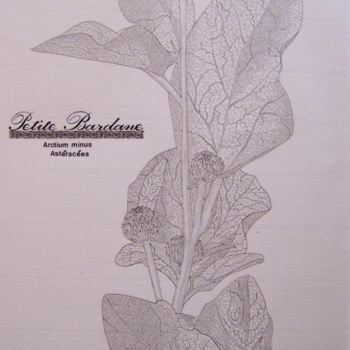 Drawing titled "petite bardane" by Sylvie Léandre, Original Artwork, Graphite