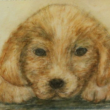 Painting titled "chiot golden" by Sylvie Ollivier, Original Artwork, Watercolor