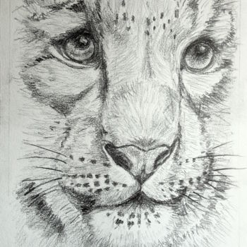 Drawing titled "tête de tigre" by Sylvie Ollivier, Original Artwork, Conté