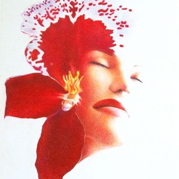 Rysunek zatytułowany „Orchidée” autorstwa Sylvie Talon, Oryginalna praca, Ołówek