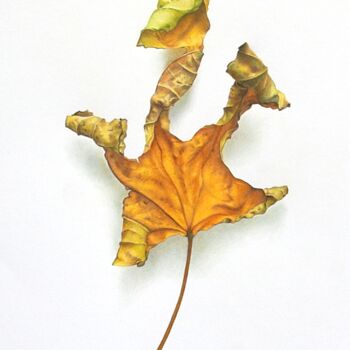 Dibujo titulada "Feuille de figuier" por Sylvie Talon, Obra de arte original, Lápiz