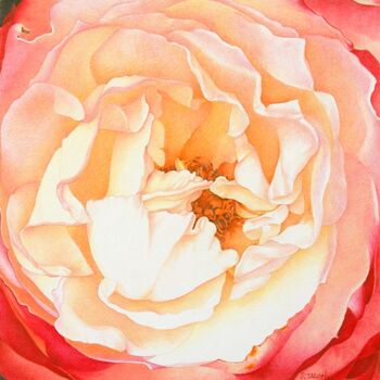 Desenho intitulada "Cœur de rose 2" por Sylvie Talon, Obras de arte originais, Lápis