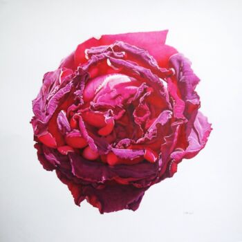 Dessin intitulée "Rose d'automne" par Sylvie Talon, Œuvre d'art originale, Crayon