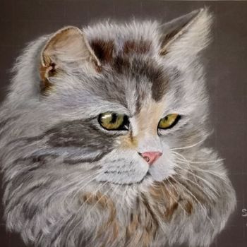 Peinture intitulée "chat persan" par Sylvie Magdeleine, Œuvre d'art originale, Pastel