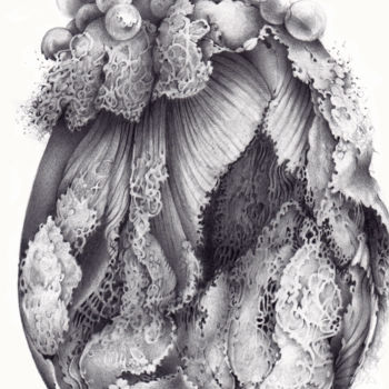 Dessin intitulée "Hatching" par Symona Colina, Œuvre d'art originale, Graphite