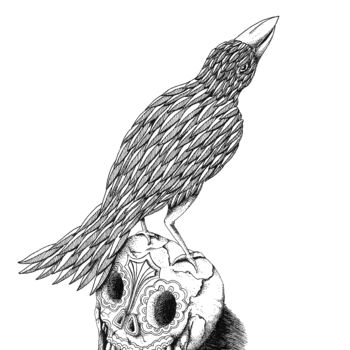 Drawing titled "Corbeau et crâne" by Syrius Thorrel, Original Artwork, Ink
