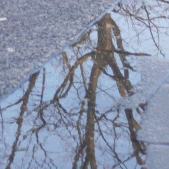 Φωτογραφία με τίτλο "reflection tree" από Tom Schrijver, Αυθεντικά έργα τέχνης