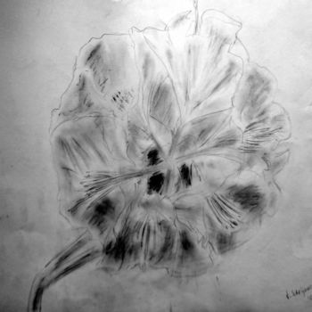 Drawing titled "open flower" by Tom Schrijver, Original Artwork, Pencil