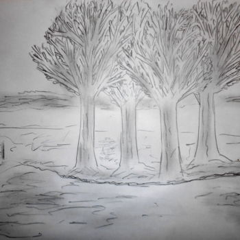 Рисунок под названием "4 trees" - Tom Schrijver, Подлинное произведение искусства, Карандаш