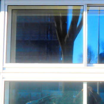 Fotografie getiteld "windowreflection-tr…" door Tom Schrijver, Origineel Kunstwerk