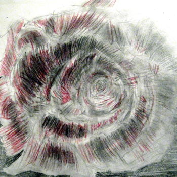 Dessin intitulée "rose" par Tom Schrijver, Œuvre d'art originale, Crayon