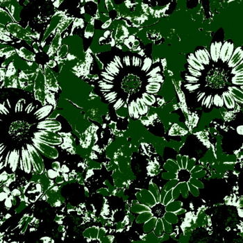 Фотография под названием "3 flowers" - Tom Schrijver, Подлинное произведение искусства, Манипулированная фотография