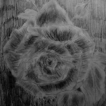 Tekening getiteld "flower" door Tom Schrijver, Origineel Kunstwerk, Potlood