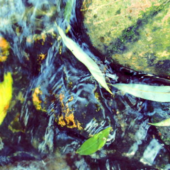 Photography titled "water and leaves" by Tom Schrijver, Original Artwork, Digital Photography