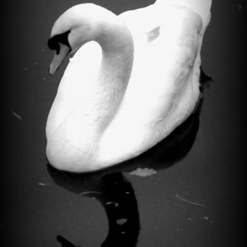Fotografia intitulada "swan" por Tom Schrijver, Obras de arte originais, Fotografia digital