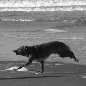 Fotografie getiteld "running at the beach" door Tom Schrijver, Origineel Kunstwerk, Digitale fotografie