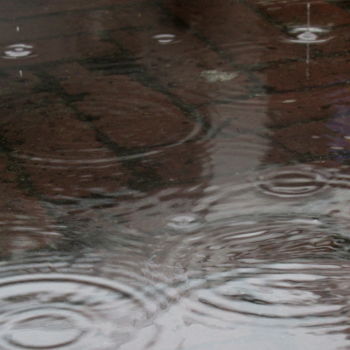 Fotografie mit dem Titel "raindrops" von Tom Schrijver, Original-Kunstwerk, Digitale Fotografie