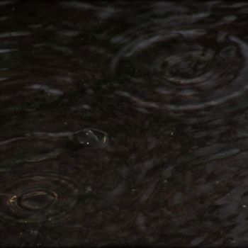 Φωτογραφία με τίτλο "raindrops." από Tom Schrijver, Αυθεντικά έργα τέχνης, Ψηφιακή φωτογραφία
