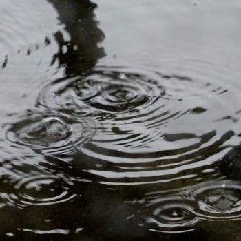 Fotografía titulada "the rain" por Tom Schrijver, Obra de arte original, Fotografía digital