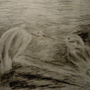 Drawing titled "Kingfishers" by Tom Schrijver, Original Artwork, Pencil