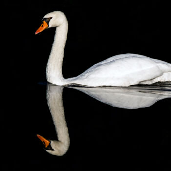 Photographie intitulée "Silence" par T2p Photos, Œuvre d'art originale, Photographie numérique