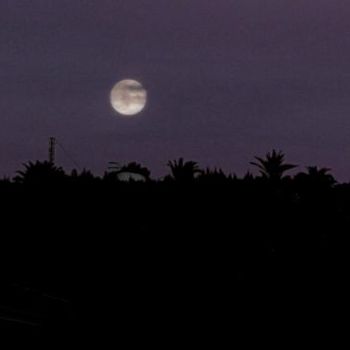 Photographie intitulée "moon above" par Poppy Flower, Œuvre d'art originale