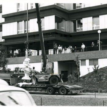 Sculpture titled "installation à la C…" by Georges Tag, Original Artwork