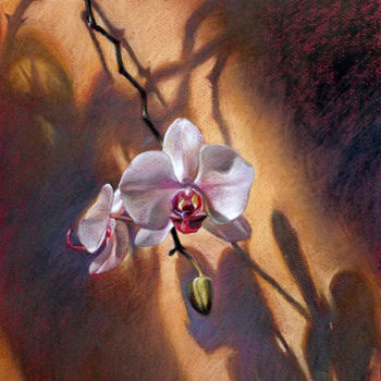 Painting titled "Orchid on The Wall" by Taimeng Lim, Original Artwork, Pastel