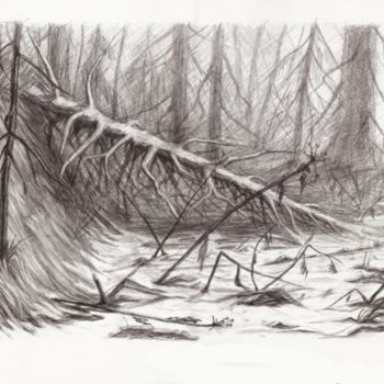 Картина под названием "Упавшее дерево" - Акша Таквааш, Подлинное произведение искусства
