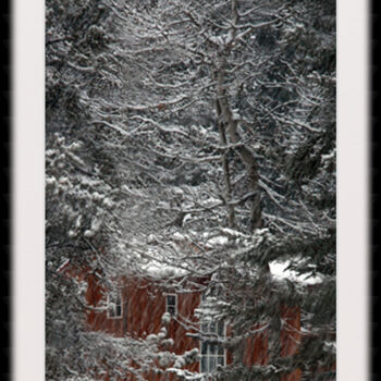 Photography titled "Forest Dwelling" by Sarna, Original Artwork, Digital Photography Mounted on Cardboard