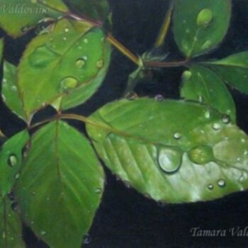 Pintura intitulada "A day after the rain" por Tamara Valdovino, Obras de arte originais, Outro