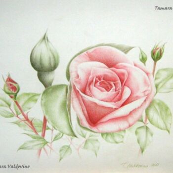 Malerei mit dem Titel "Rose" von Tamara Valdovino, Original-Kunstwerk