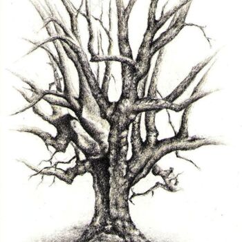 Drawing titled "Oak /Roble" by Tamara Valdovino, Original Artwork